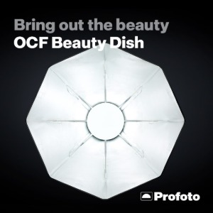 OCF  Beauty  Dish (색상선택)